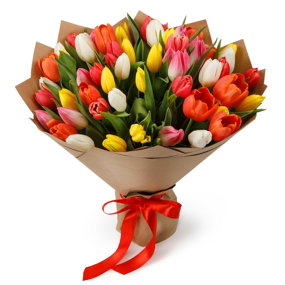 51 Tulips