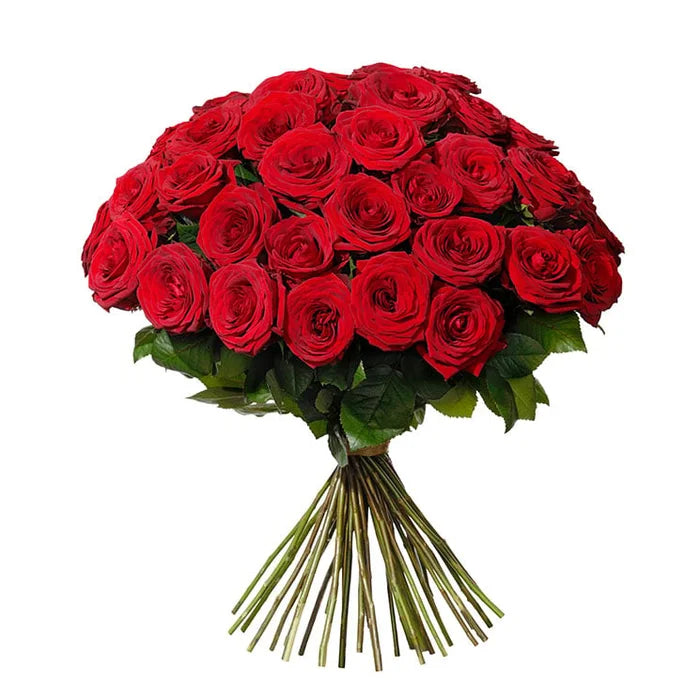 35 Red Roses