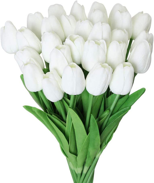 30 White Tulips