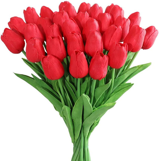 30 Red Tulips