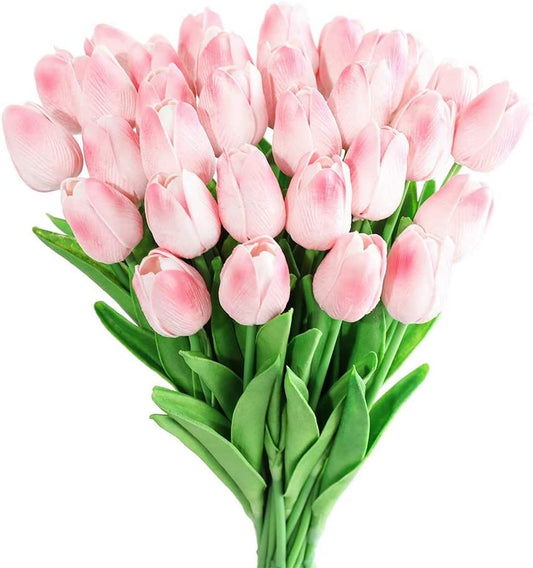 30 Pink Tulip