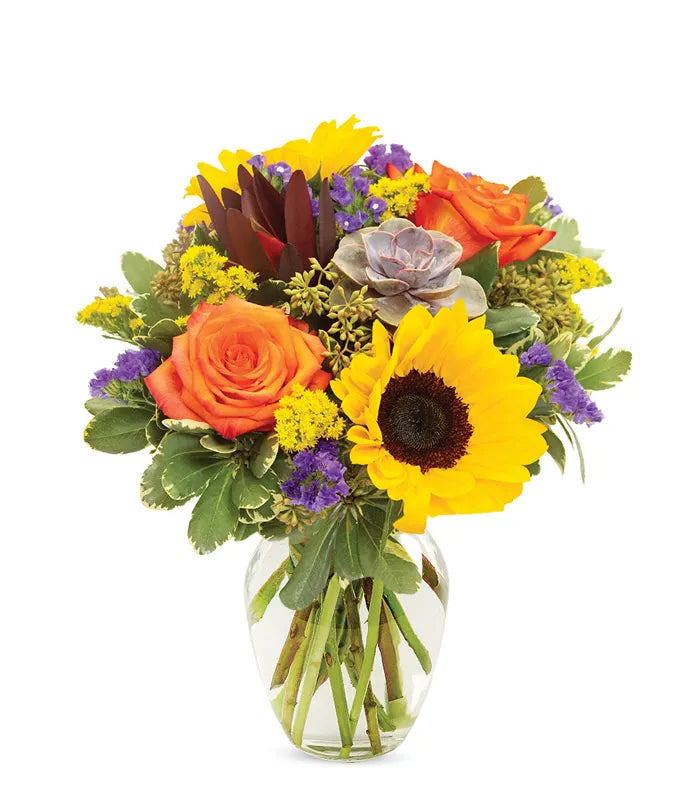 Sunflower Assorted