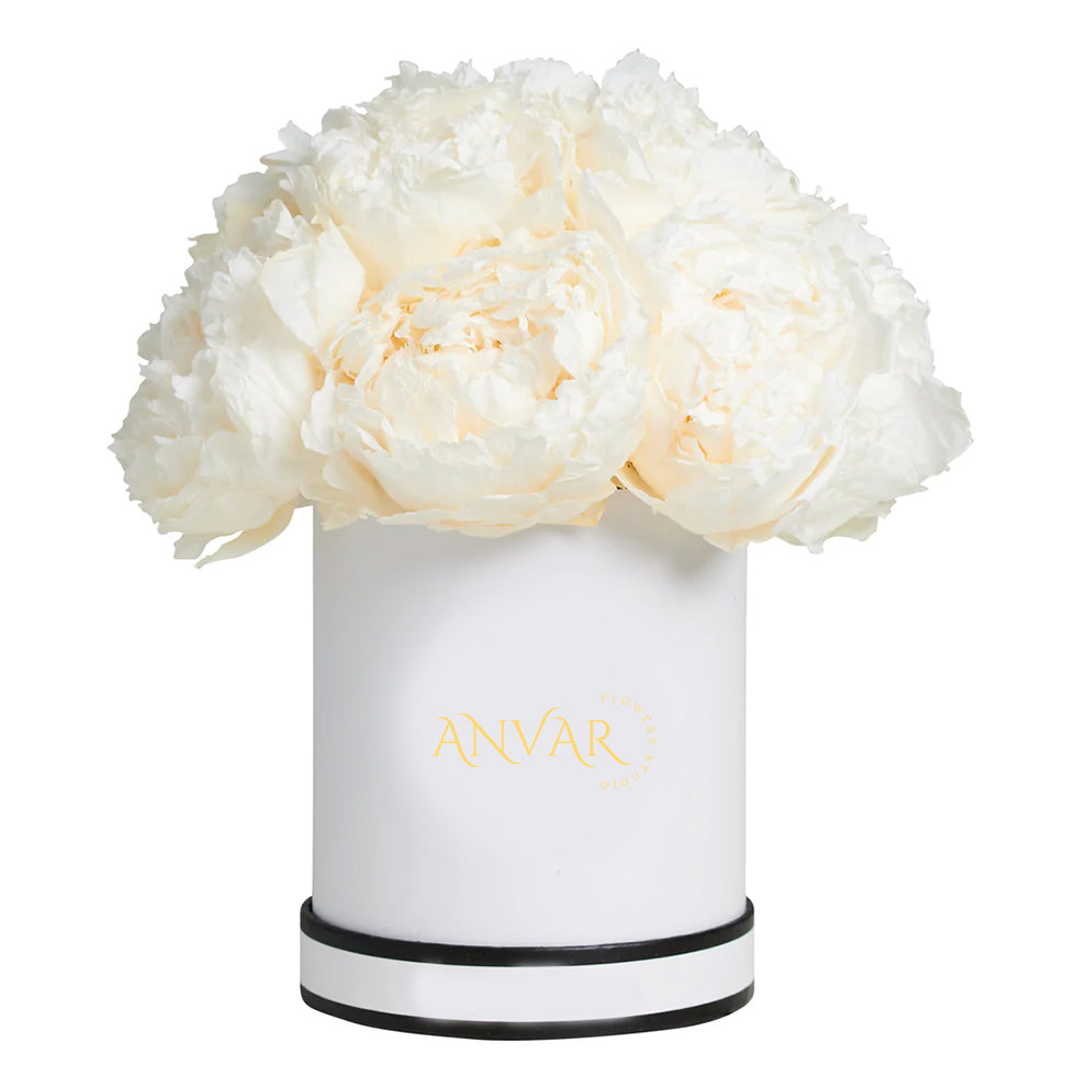 White Peony Small Dome