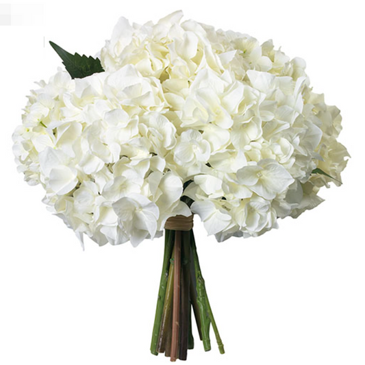 White Hydrangea Boquet