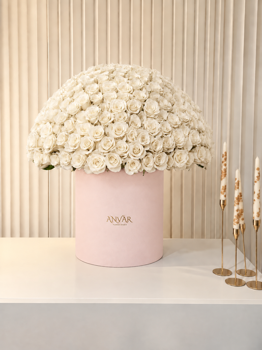 ANVAR 381 — The Grand Signature