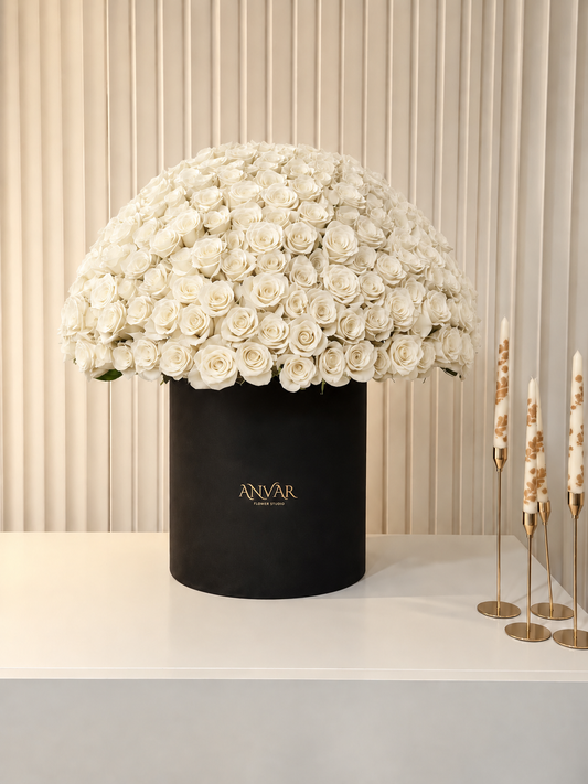 ANVAR 381 — The Grand Signature
