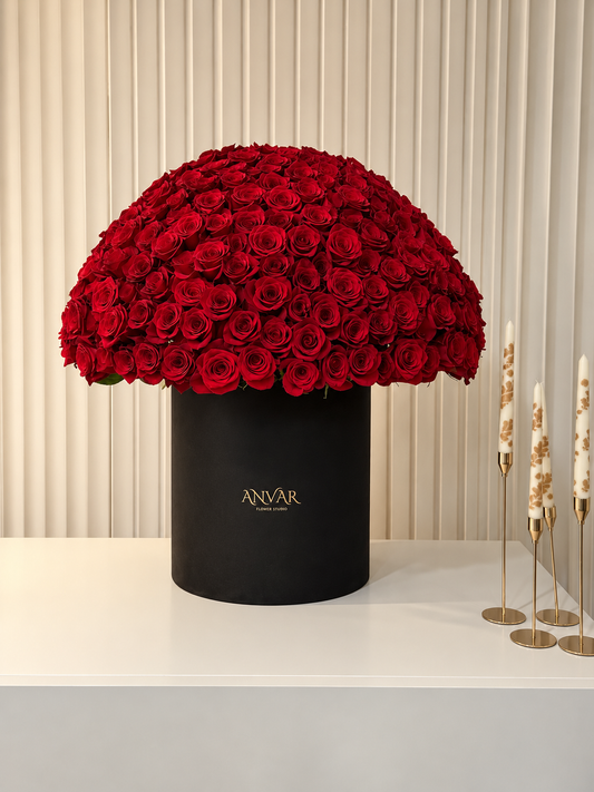 ANVAR 381 — The Grand Signature (Copy)